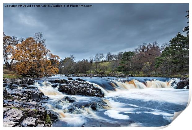 Autumn Colour Low Force Waterfall Teesdale Print by David Forster