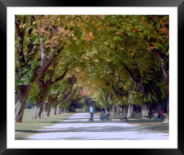 a walk in the park Framed Mounted Print by Martin Parkinson
