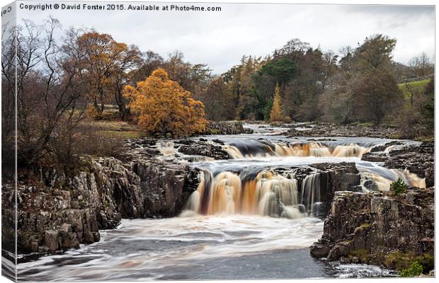Low Force Upper Teesdale Canvas Print by David Forster