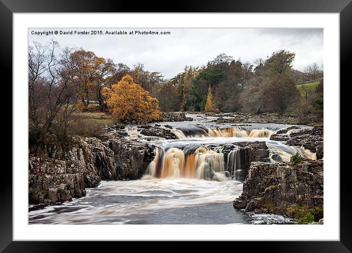 Low Force Upper Teesdale Framed Mounted Print by David Forster