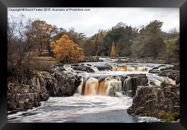 Low Force Upper Teesdale Framed Print by David Forster