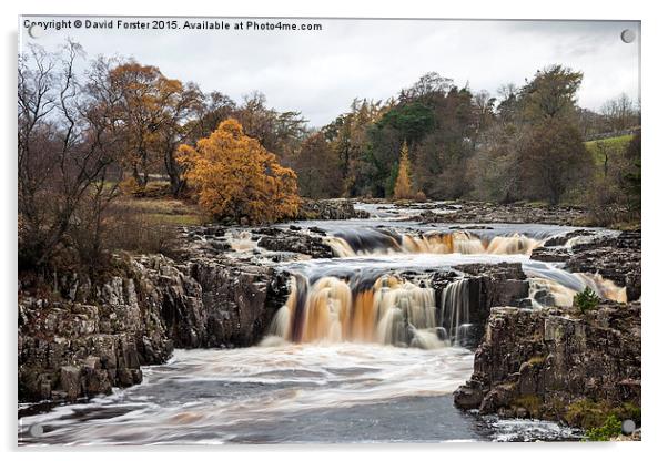 Low Force Upper Teesdale Acrylic by David Forster
