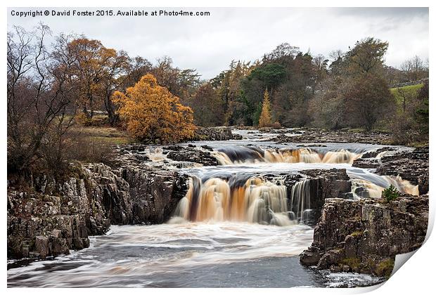 Low Force Upper Teesdale Print by David Forster