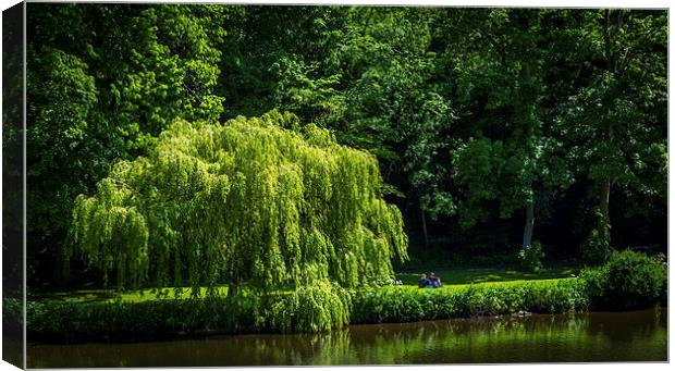  The Riverside Couple Canvas Print by Tony Emery