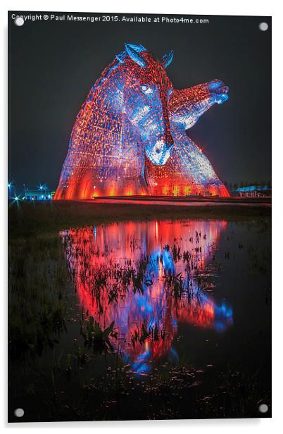  Red Kelpie Night Time Acrylic by Paul Messenger