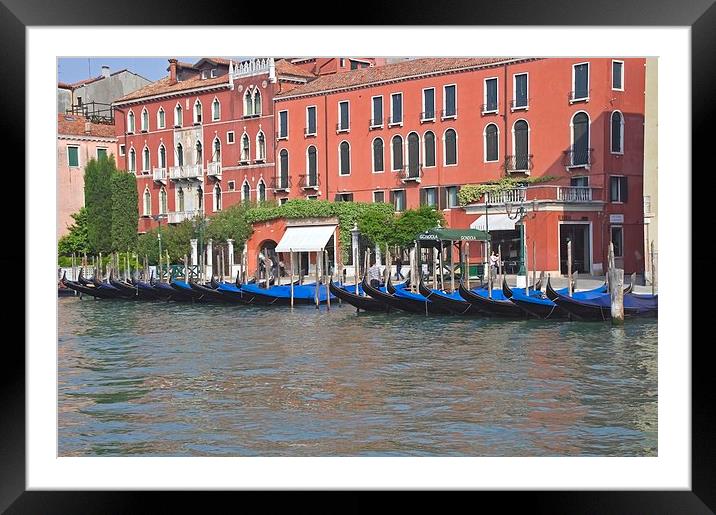 Gondolas on the Grand Canal Framed Mounted Print by Steven Plowman