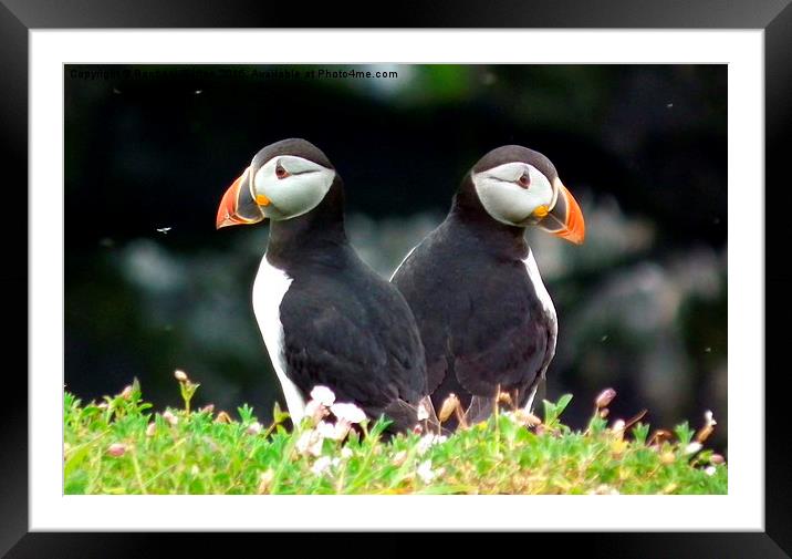 Back to Back Framed Mounted Print by Rachael Bufton