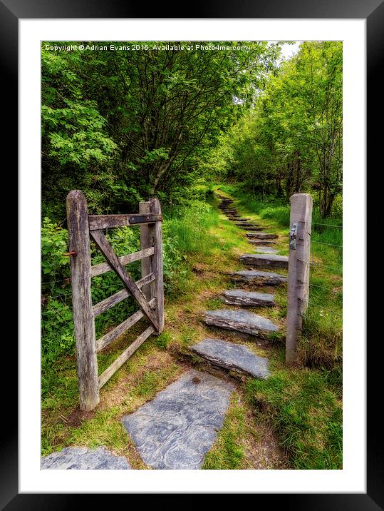 Open Country Gate Framed Mounted Print by Adrian Evans
