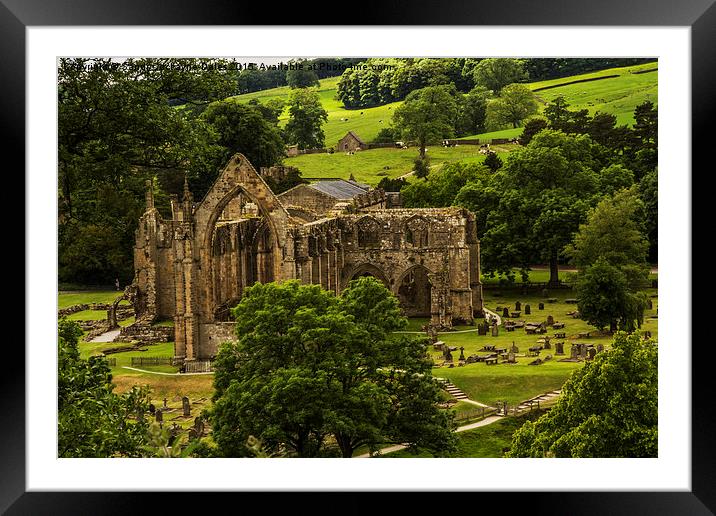  Bolton Abbey In The Summertime Framed Mounted Print by Sandi-Cockayne ADPS