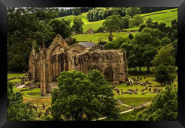  Bolton Abbey In The Summertime Framed Print by Sandi-Cockayne ADPS