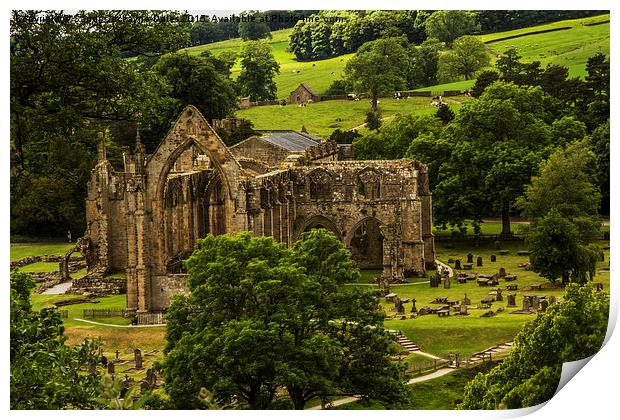  Bolton Abbey In The Summertime Print by Sandi-Cockayne ADPS