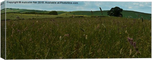 meadow of wild flowers Canvas Print by malcolm fish