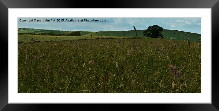 meadow of wild flowers Framed Mounted Print by malcolm fish