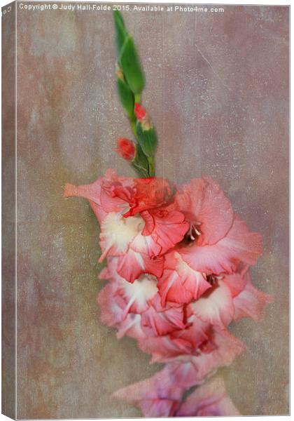  Coral and White Gladiolas Canvas Print by Judy Hall-Folde