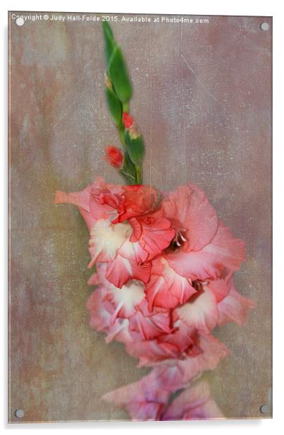  Coral and White Gladiolas Acrylic by Judy Hall-Folde