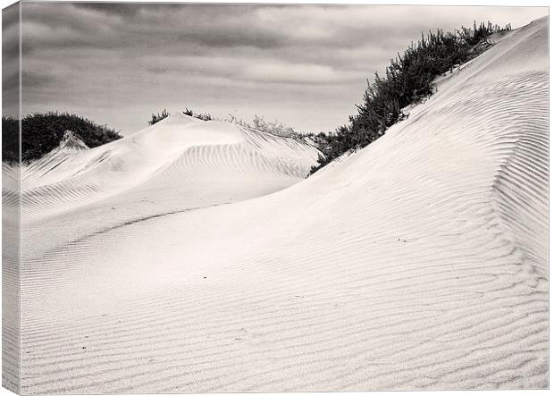  Dunes Canvas Print by David McCulloch
