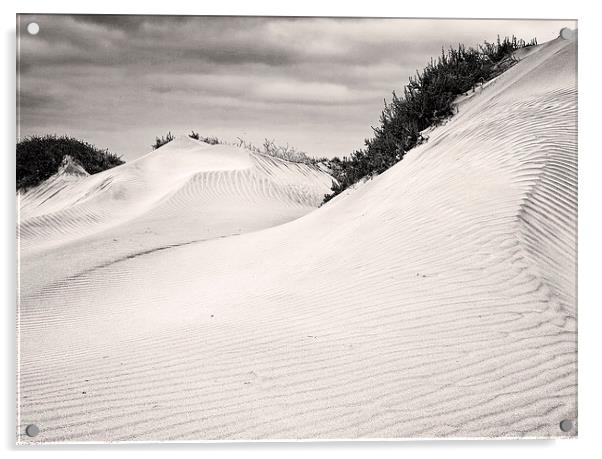  Dunes Acrylic by David McCulloch
