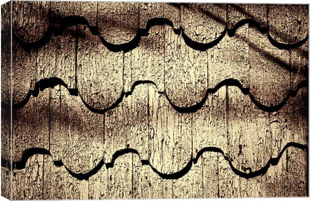  Cracked Paint on Shingles. Canvas Print by David Hare