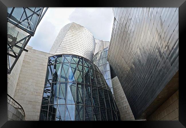  Guggenheim Museum Bilbao Spain Framed Print by Sue Bottomley