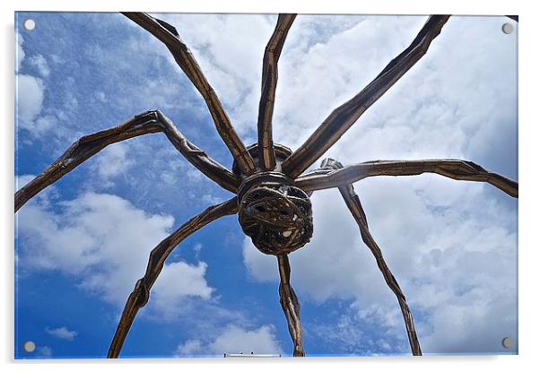  Spider Maman Bilbao Spain Acrylic by Sue Bottomley