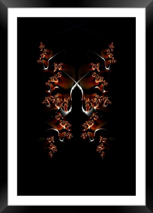 Fractal Butterfly Framed Mounted Print by Steve Purnell
