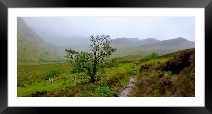  lone tree - kintail Framed Mounted Print by dale rys (LP)