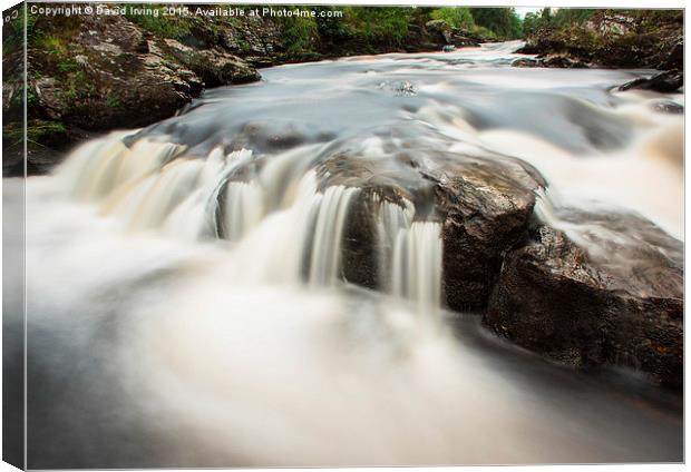  Wild River Canvas Print by David Irving