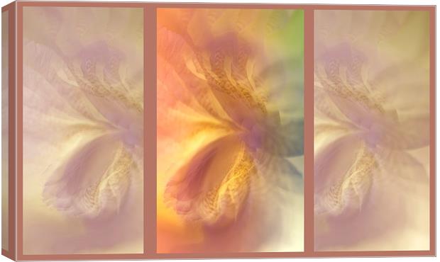  Ethereal Life. Tryptich. Interior Ideas Canvas Print by Jenny Rainbow