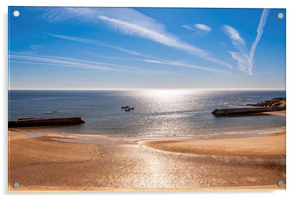 Cullercoats Bay  Acrylic by Naylor's Photography