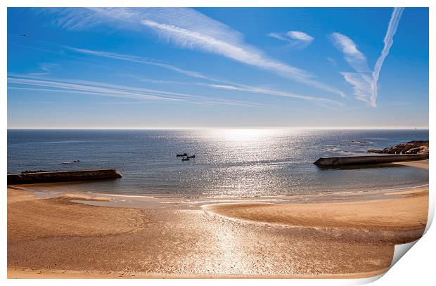 Cullercoats Bay  Print by Naylor's Photography