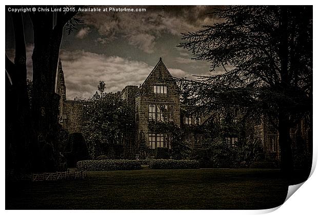 The Stately Ruin Print by Chris Lord