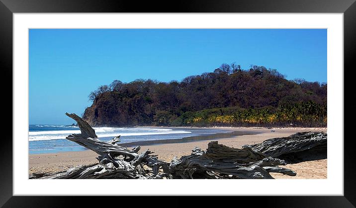  Driftwood on Empty Playa Pelada Framed Mounted Print by james balzano, jr.