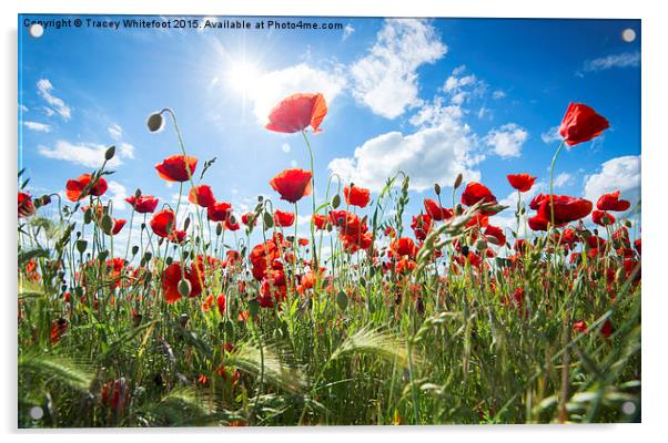  First Day of Summer  Acrylic by Tracey Whitefoot