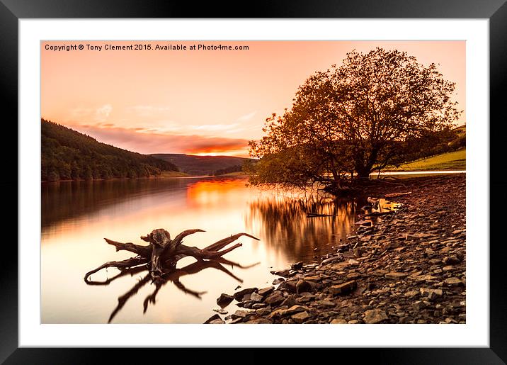  Ladybower Driftwood Framed Mounted Print by Tony Clement