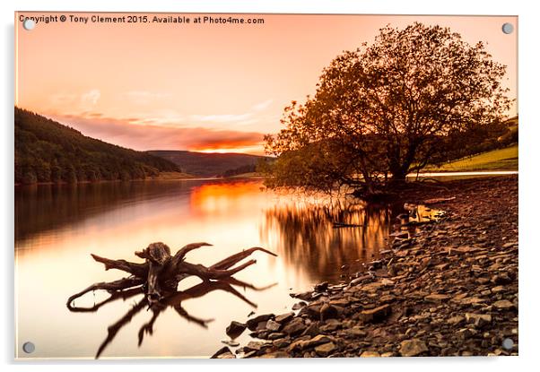  Ladybower Driftwood Acrylic by Tony Clement