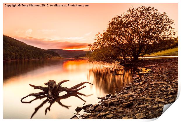  Ladybower Driftwood Print by Tony Clement