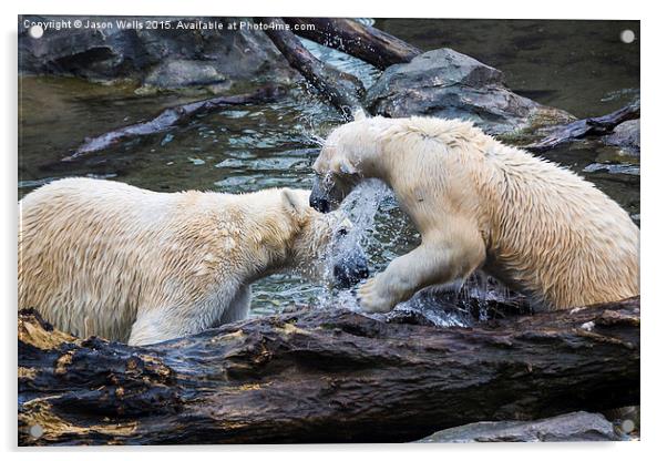 Pair of polar bears playing together in the water Acrylic by Jason Wells