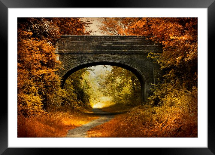  Path under a bridge Framed Mounted Print by Svetlana Sewell