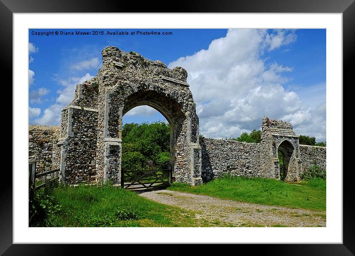  Greyfriars Priory Gateway Framed Mounted Print by Diana Mower