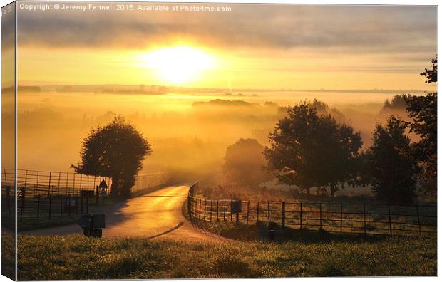  A misty morning at Ashton Court Canvas Print by Jeremy Fennell