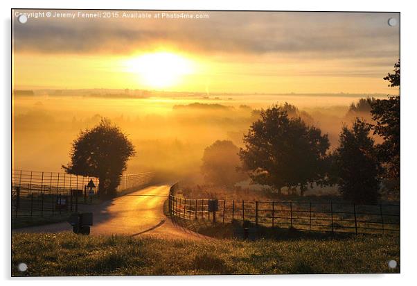  A misty morning at Ashton Court Acrylic by Jeremy Fennell