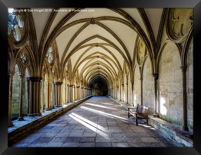  The cloisters at Salisbury cathedral,Wiltshire  Framed Print by Sue Knight