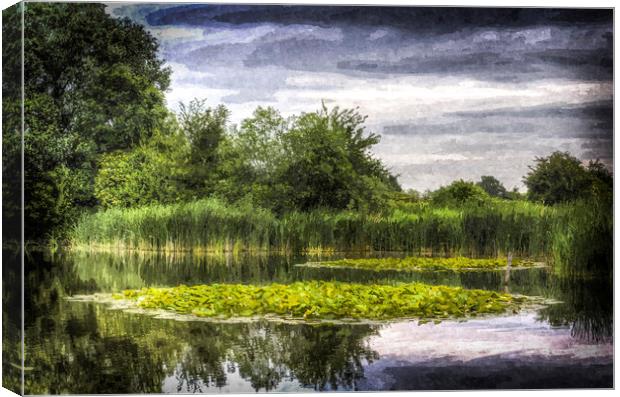 The Lily Pond Canvas Print by David Pyatt