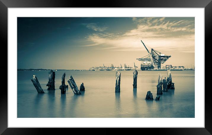  Almost a crane Framed Mounted Print by Sacha Hayward