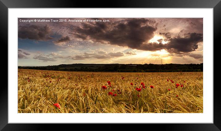  Poppy Field Sunset Framed Mounted Print by Matthew Train