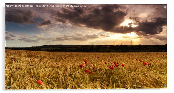  Poppy Field Sunset Acrylic by Matthew Train
