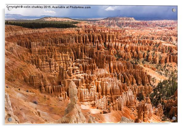  Bryce Canyon Park Hoodoos Acrylic by colin chalkley