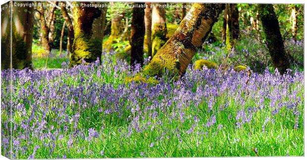  Blue in Mull Canvas Print by Laura McGlinn Photog