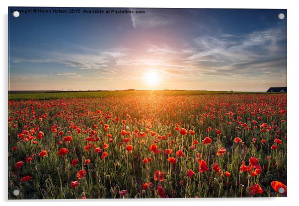 Sunset over Poppy Field Acrylic by Helen Hotson