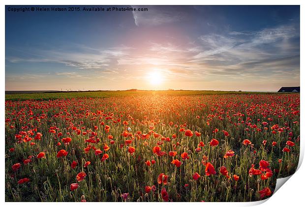 Sunset over Poppy Field Print by Helen Hotson